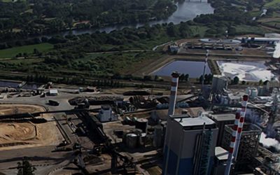 Dois novos contratos com a Navigator Company
